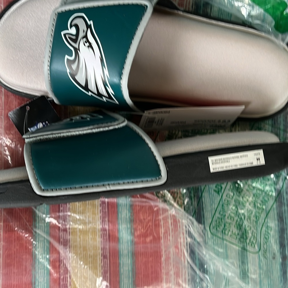 NFL Philadelphia Eagles slides - Picture 4 of 11